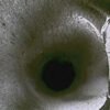 IPV-GT230 - Image 6