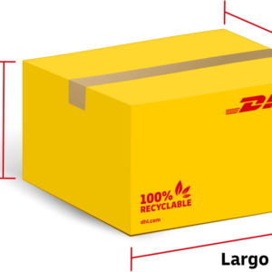 DHL SEETONG EUROPA SERVICIO INTERNACIONAL